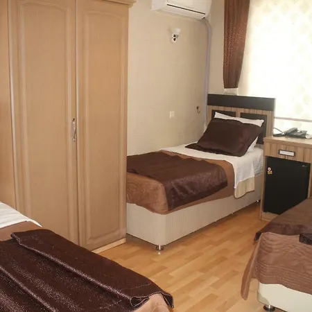 Cmr Aydogan Hotel 2*