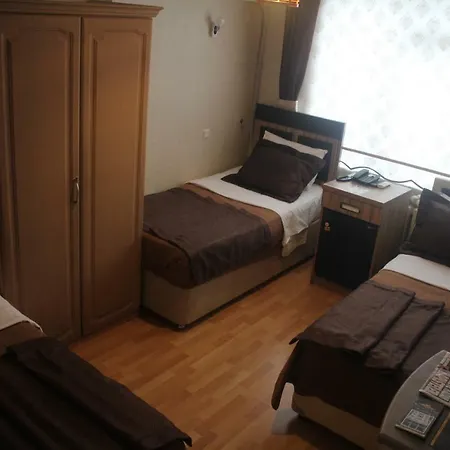 Cmr Aydogan Hotel 2*
